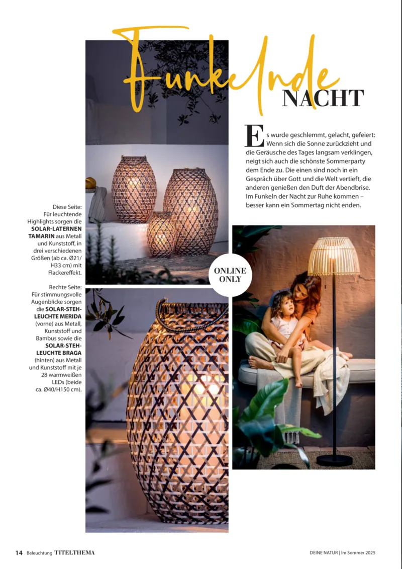 Dehner Prospekt vom 06.01.2026, Seite 14