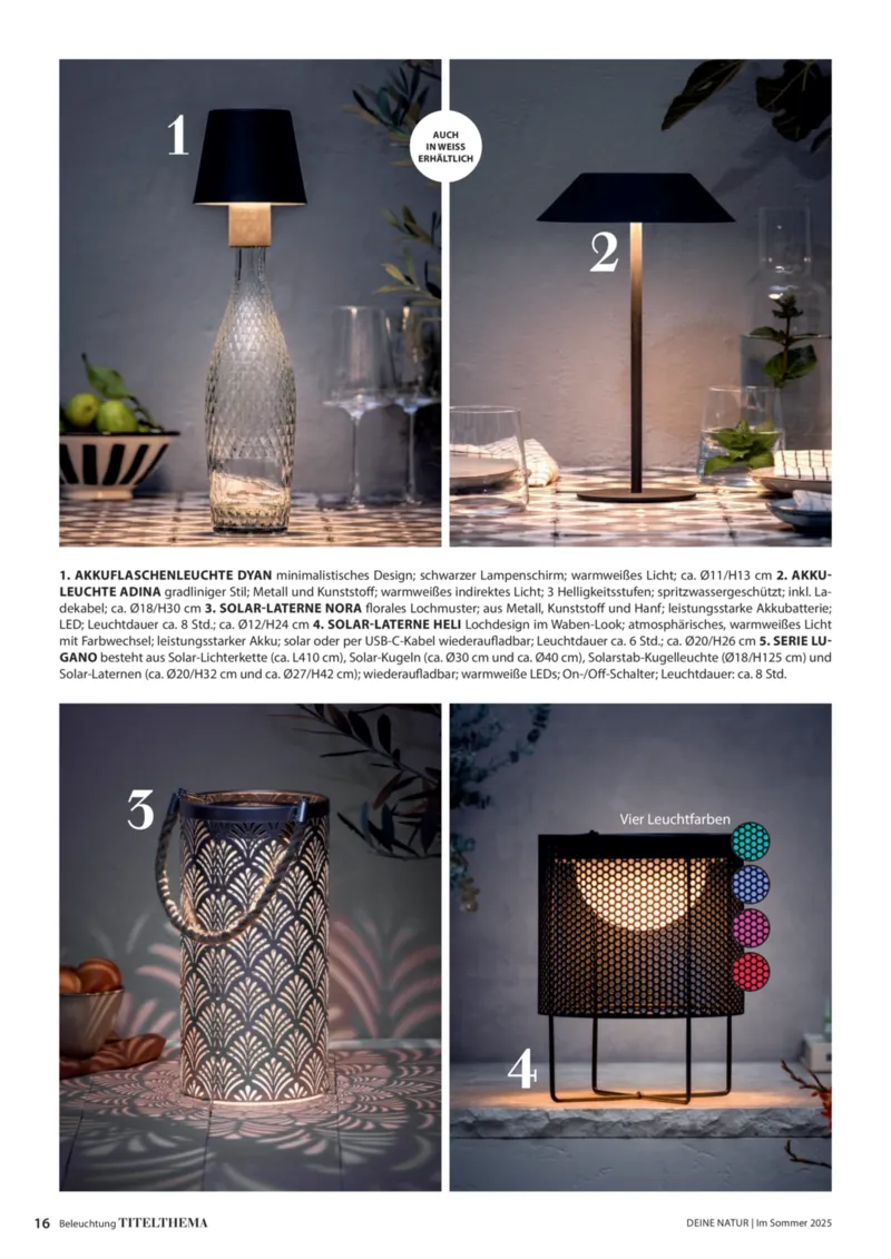 Dehner Prospekt vom 06.01.2026, Seite 16