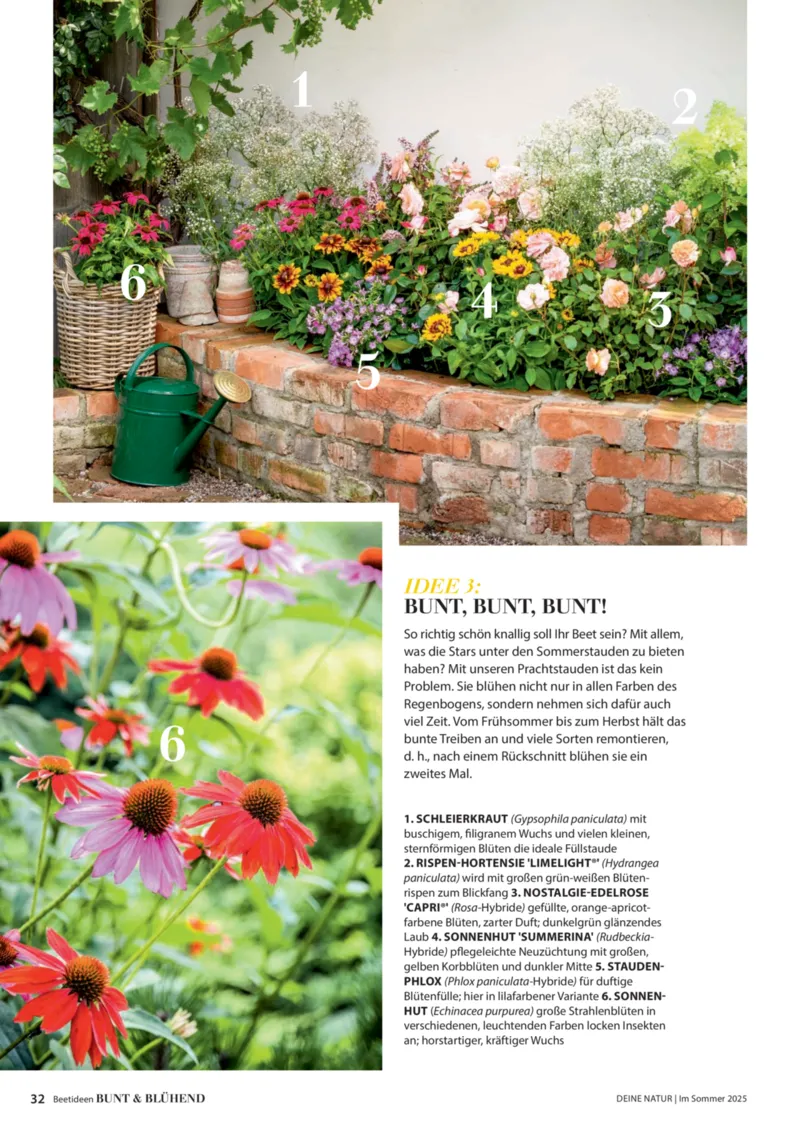 Dehner Prospekt vom 06.01.2026, Seite 32