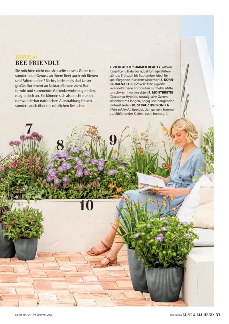 Dehner Prospekt vom 06.01.2026, Seite 33