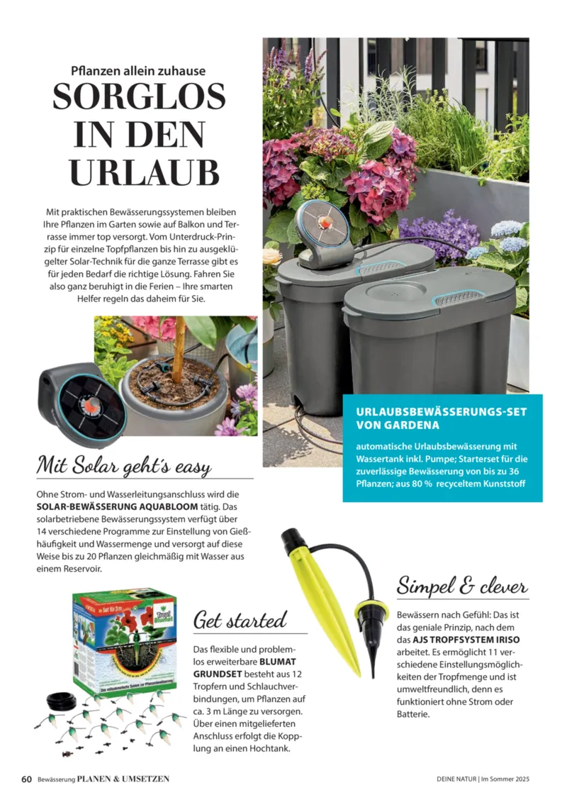 Dehner Prospekt vom 06.01.2026, Seite 60