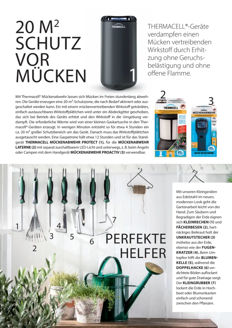 Dehner Prospekt vom 06.01.2026, Seite 61