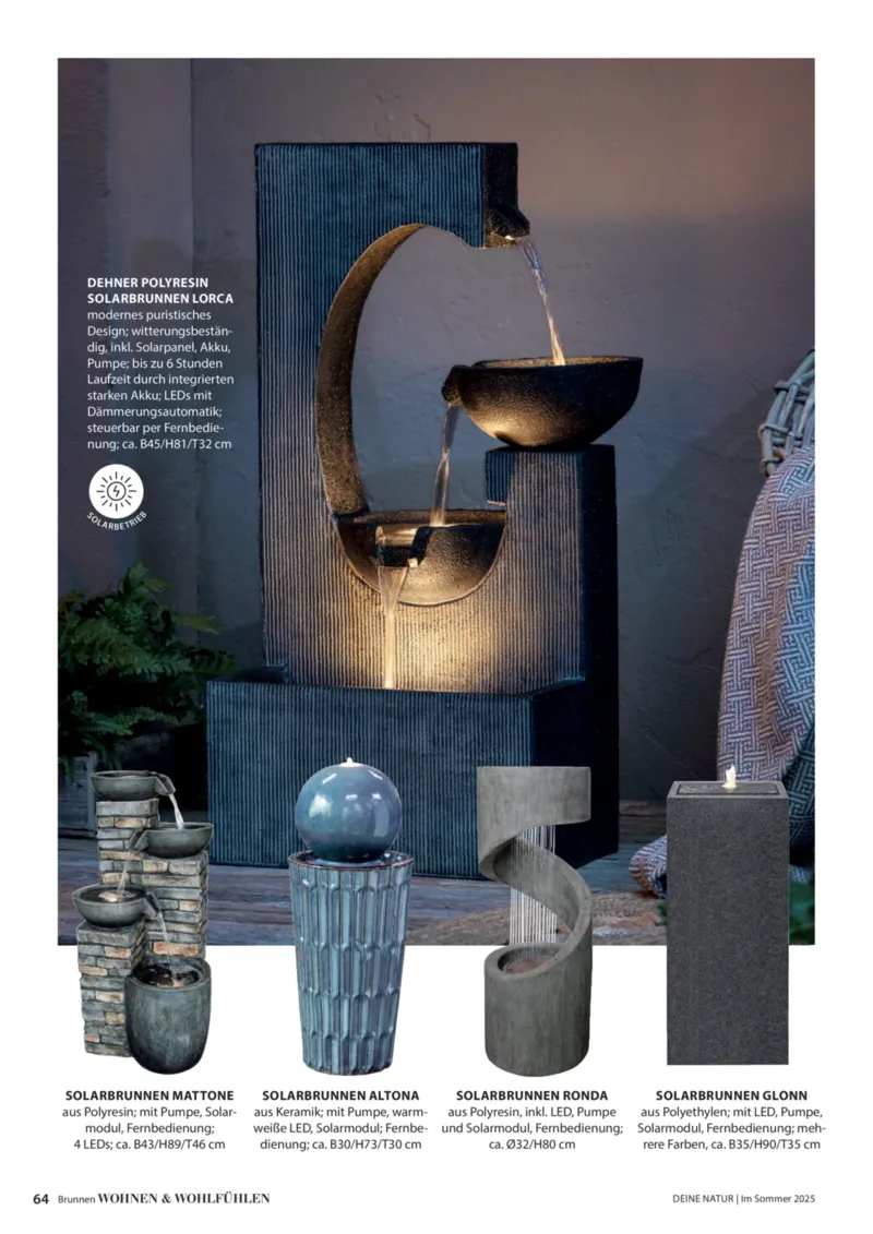 Dehner Prospekt vom 06.01.2026, Seite 64