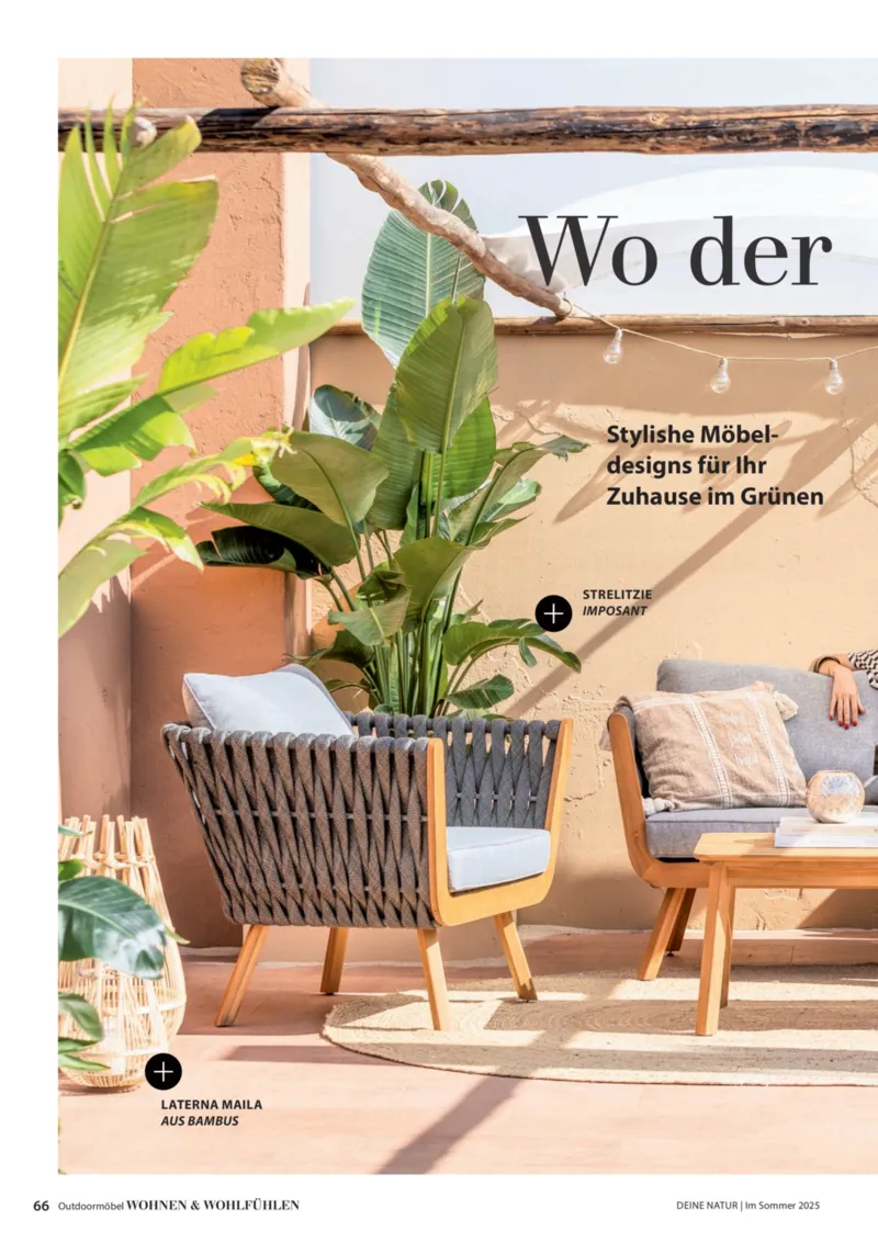 Dehner Prospekt vom 06.01.2026, Seite 66