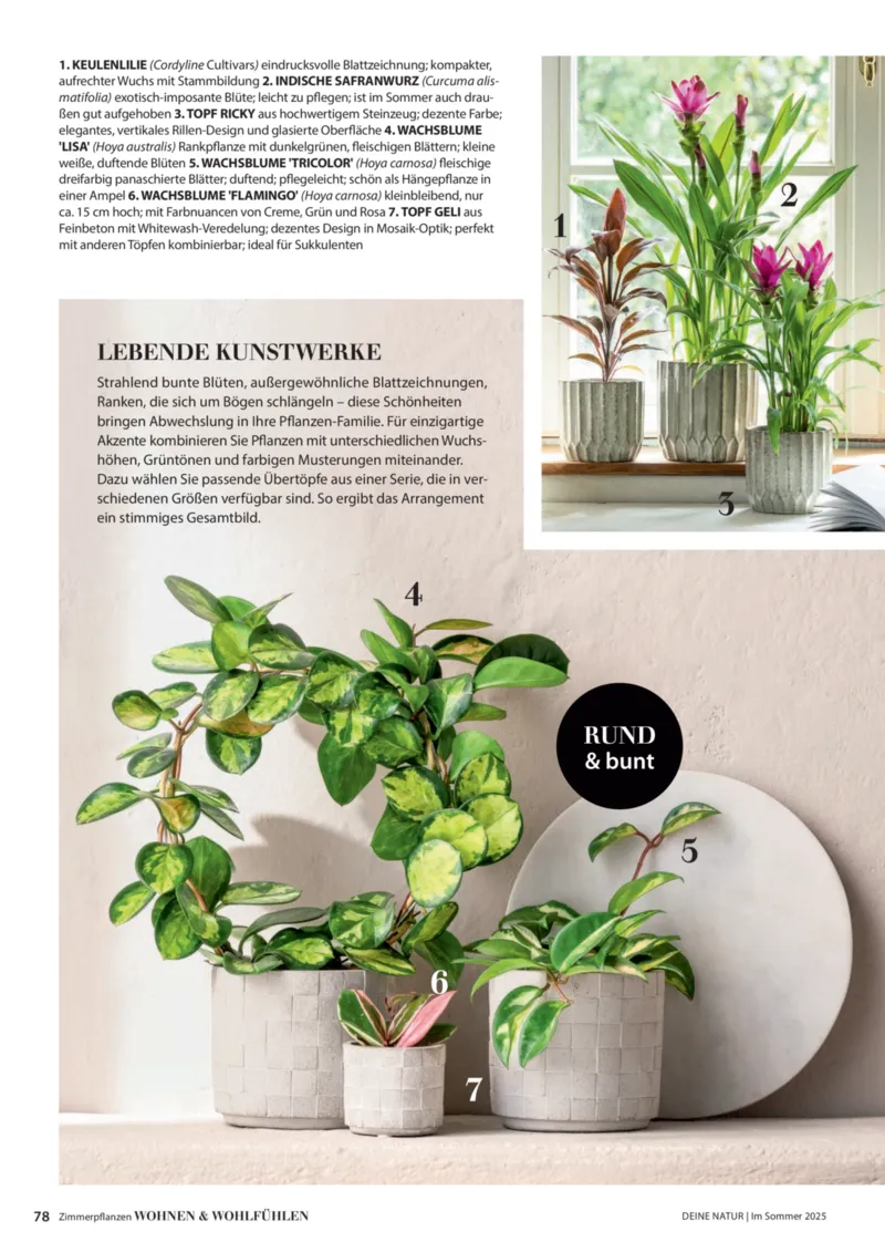 Dehner Prospekt vom 06.01.2026, Seite 78