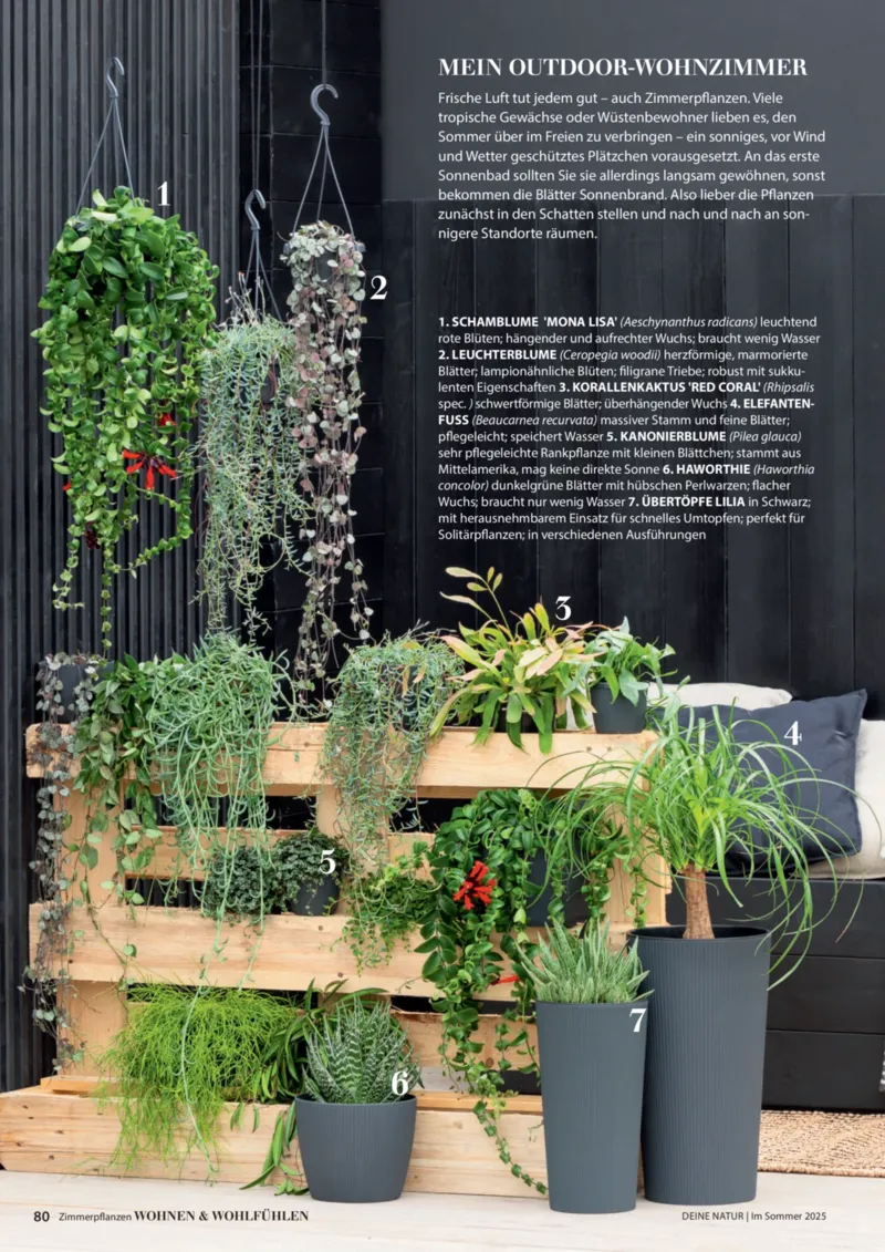 Dehner Prospekt vom 06.01.2026, Seite 80