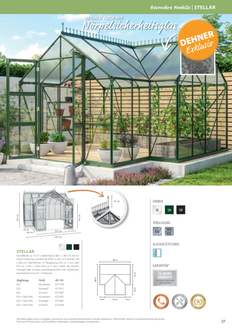 Dehner Prospekt vom 06.01.2026, Seite 37