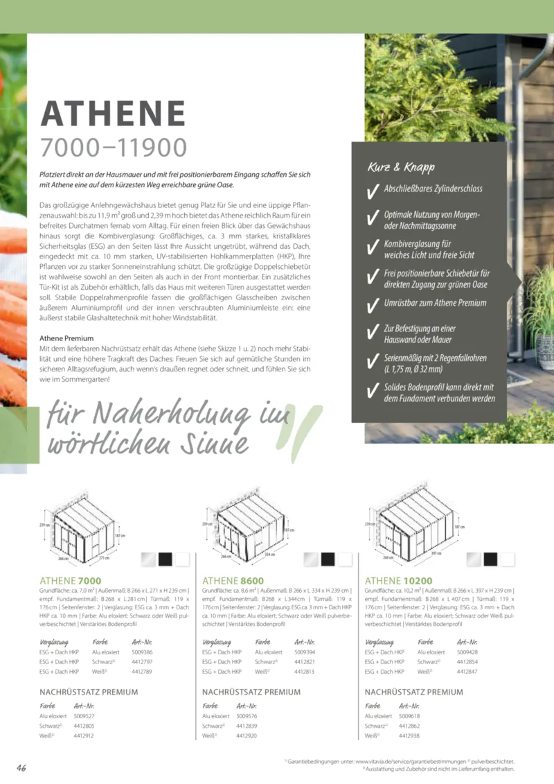 Dehner Prospekt vom 06.01.2026, Seite 46