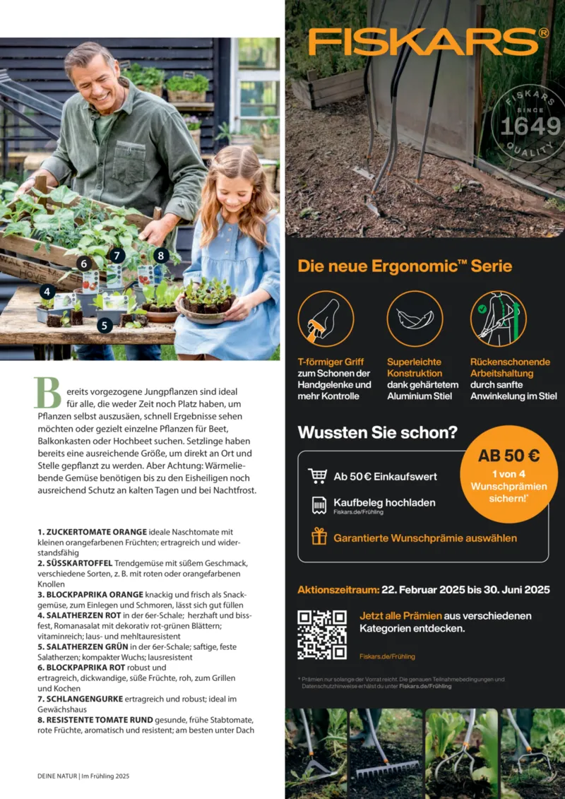 Dehner Prospekt vom 06.01.2026, Seite 11