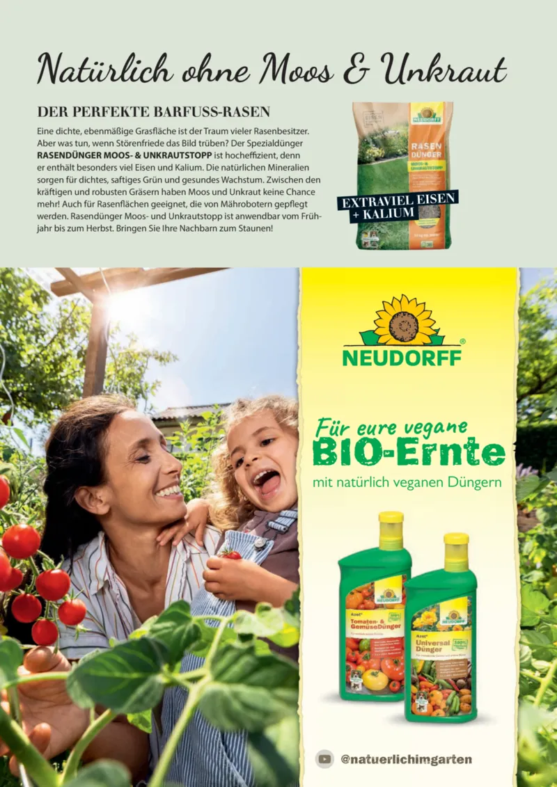 Dehner Prospekt vom 06.01.2026, Seite 15