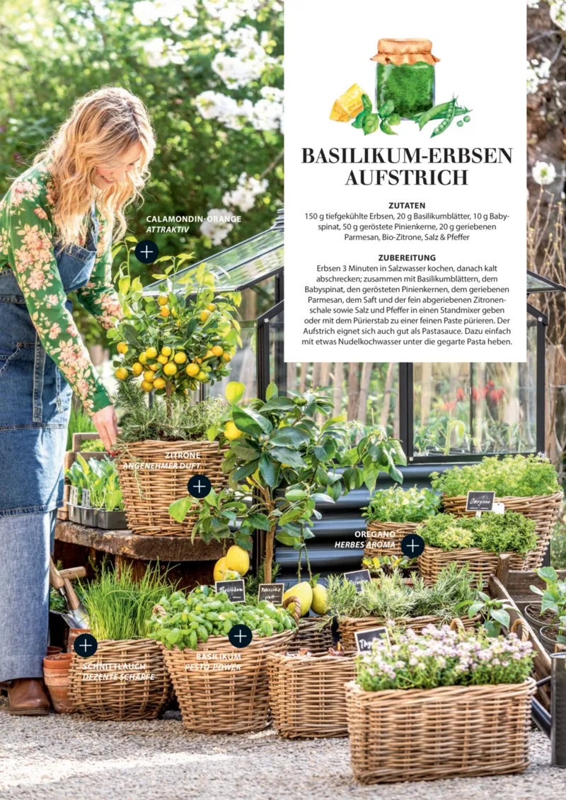 Dehner Prospekt vom 06.01.2026, Seite 18