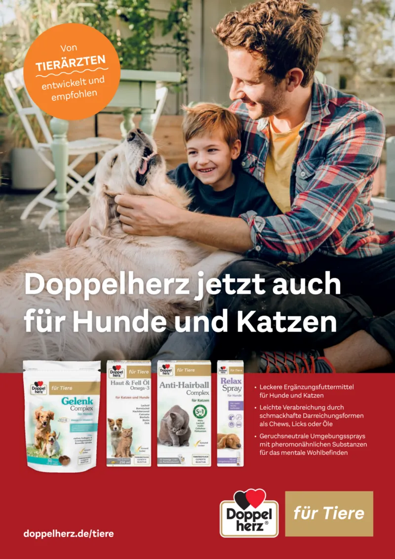 Dehner Prospekt vom 06.01.2026, Seite 2