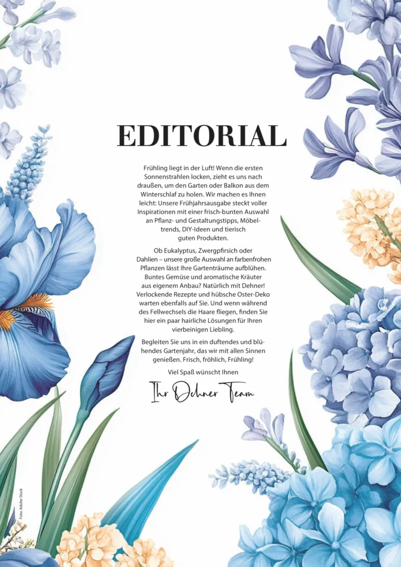 Dehner Prospekt vom 06.01.2026, Seite 3