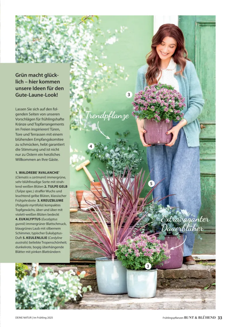 Dehner Prospekt vom 06.01.2026, Seite 33