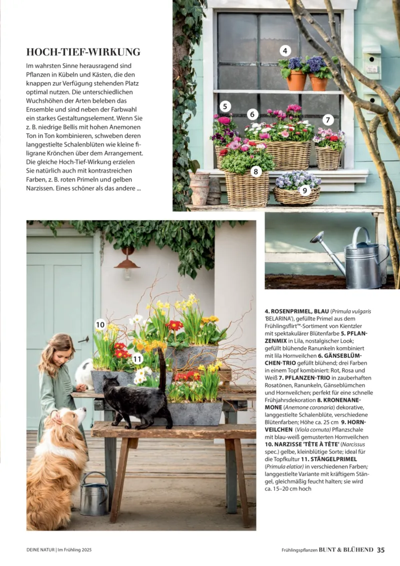 Dehner Prospekt vom 06.01.2026, Seite 35