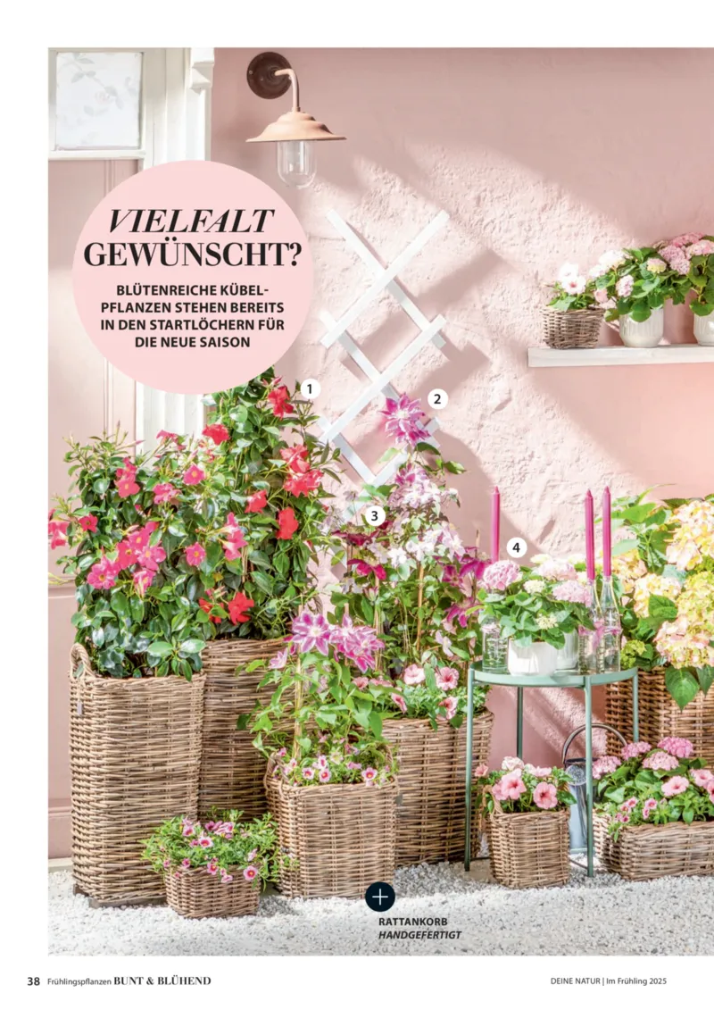 Dehner Prospekt vom 06.01.2026, Seite 38