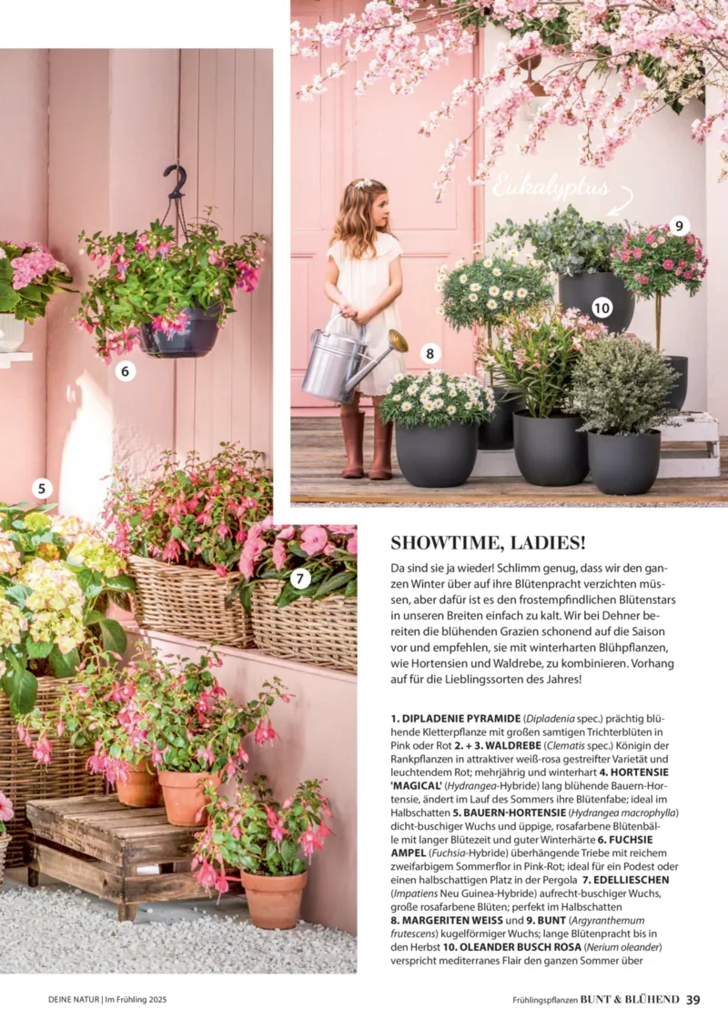 Dehner Prospekt vom 06.01.2026, Seite 39