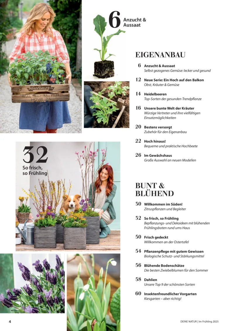 Dehner Prospekt vom 06.01.2026, Seite 4