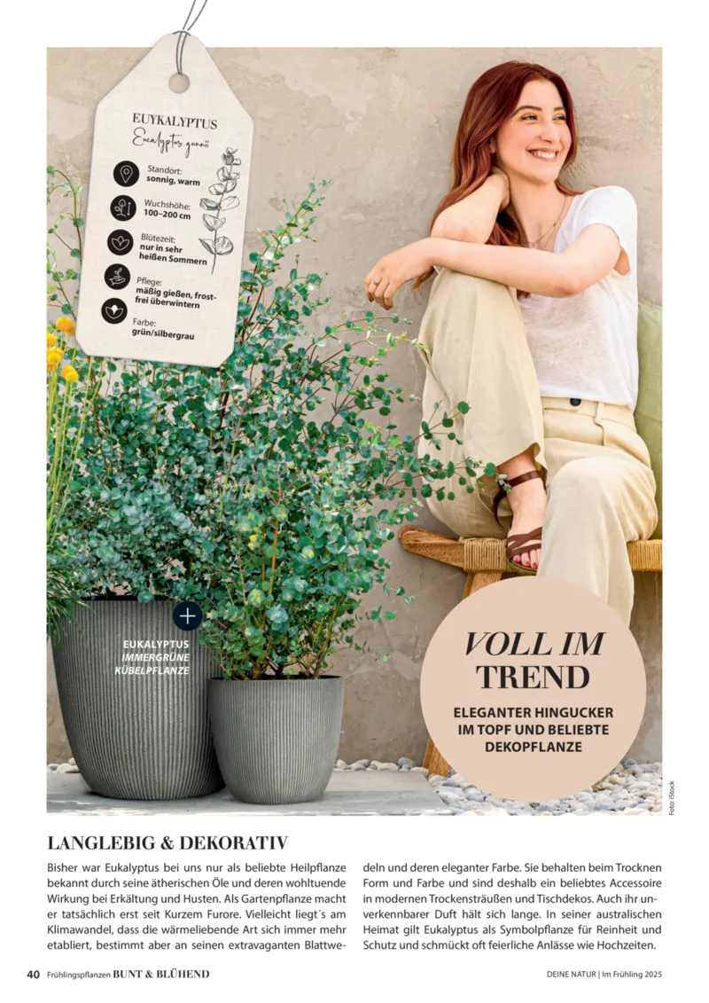 Dehner Prospekt vom 06.01.2026, Seite 40