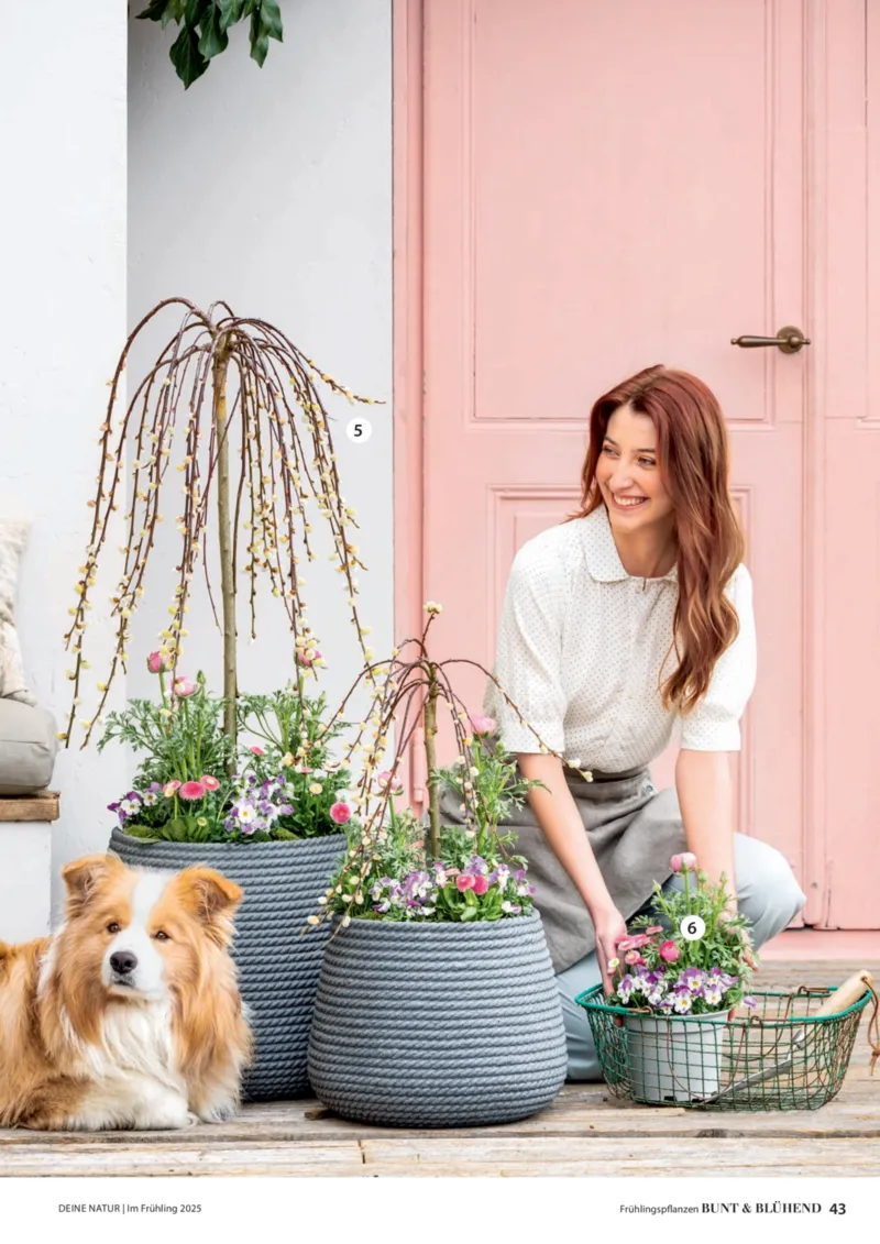 Dehner Prospekt vom 06.01.2026, Seite 43