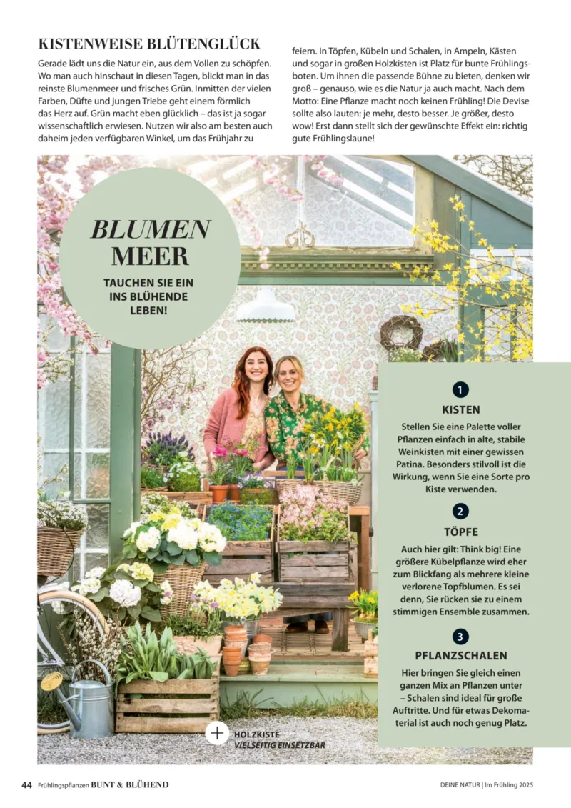 Dehner Prospekt vom 06.01.2026, Seite 44