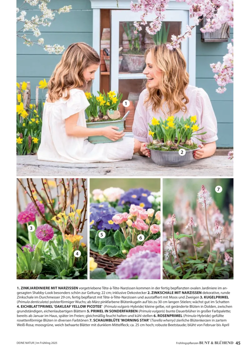 Dehner Prospekt vom 06.01.2026, Seite 45