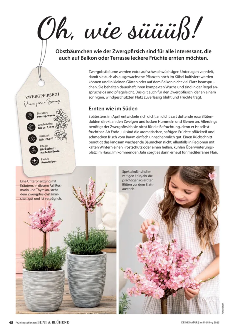 Dehner Prospekt vom 06.01.2026, Seite 48