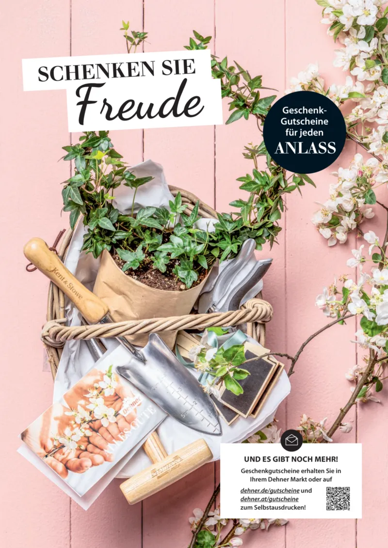 Dehner Prospekt vom 06.01.2026, Seite 53