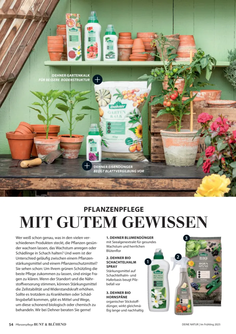 Dehner Prospekt vom 06.01.2026, Seite 54