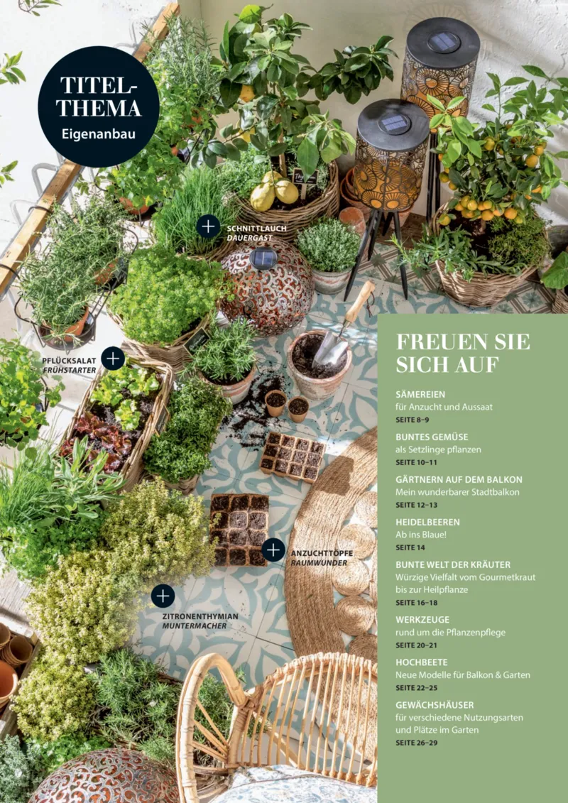 Dehner Prospekt vom 06.01.2026, Seite 6