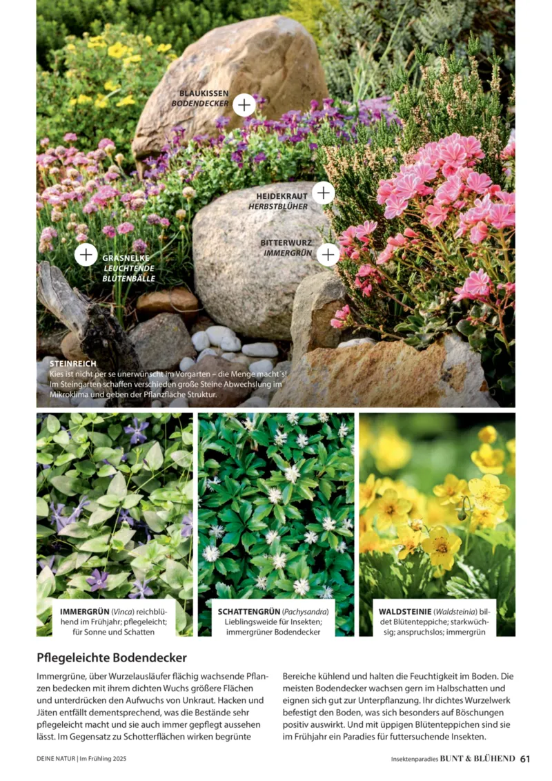 Dehner Prospekt vom 06.01.2026, Seite 61