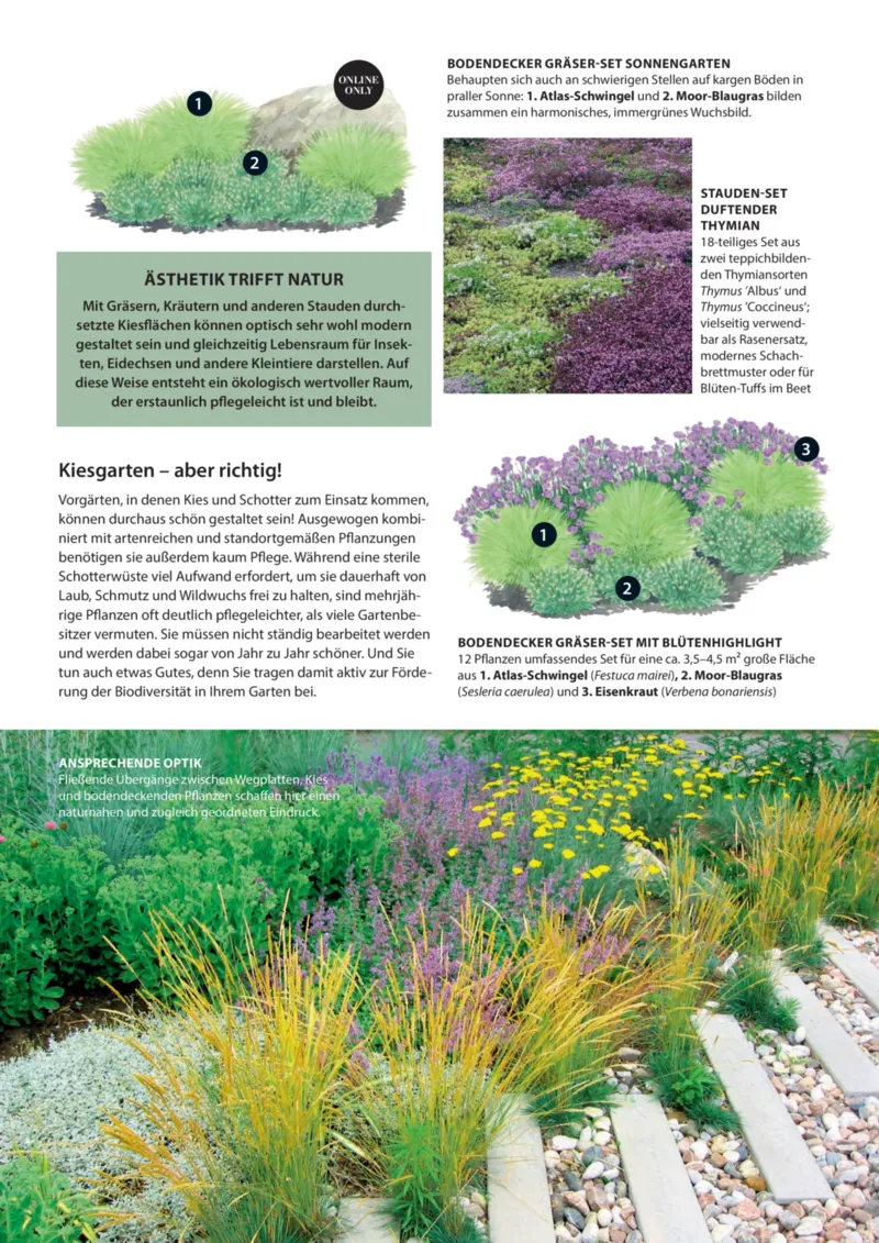 Dehner Prospekt vom 06.01.2026, Seite 63