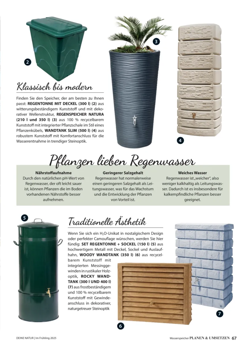 Dehner Prospekt vom 06.01.2026, Seite 67