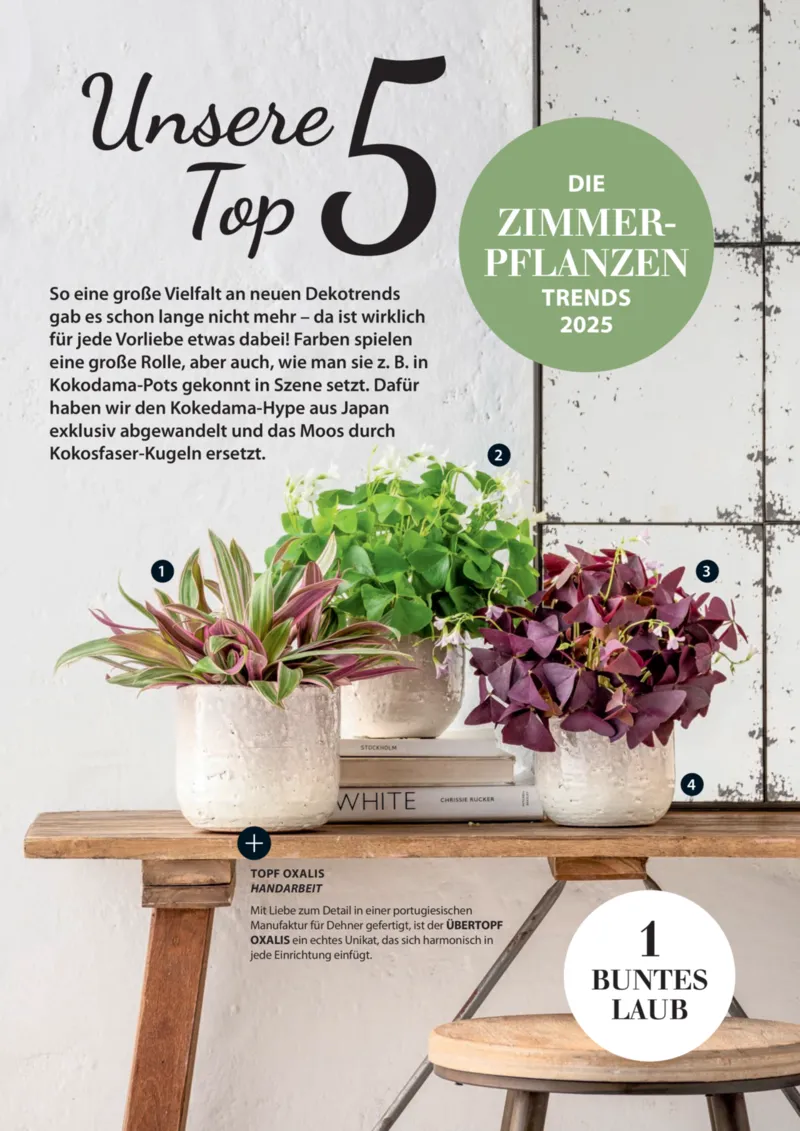 Dehner Prospekt vom 06.01.2026, Seite 78