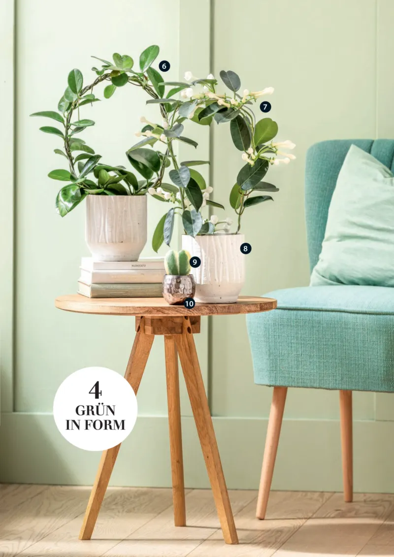 Dehner Prospekt vom 06.01.2026, Seite 81