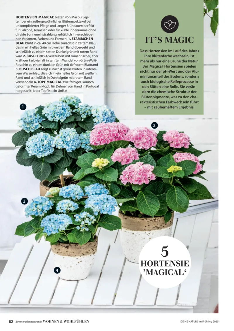 Dehner Prospekt vom 06.01.2026, Seite 82