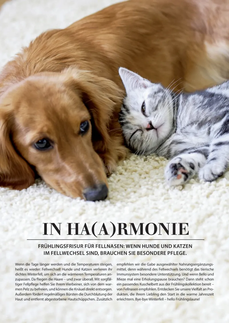 Dehner Prospekt vom 06.01.2026, Seite 84