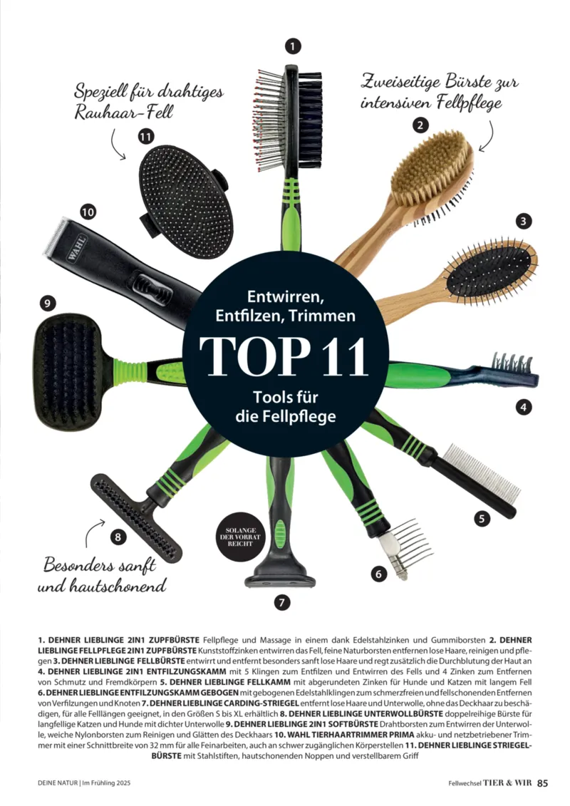 Dehner Prospekt vom 06.01.2026, Seite 85