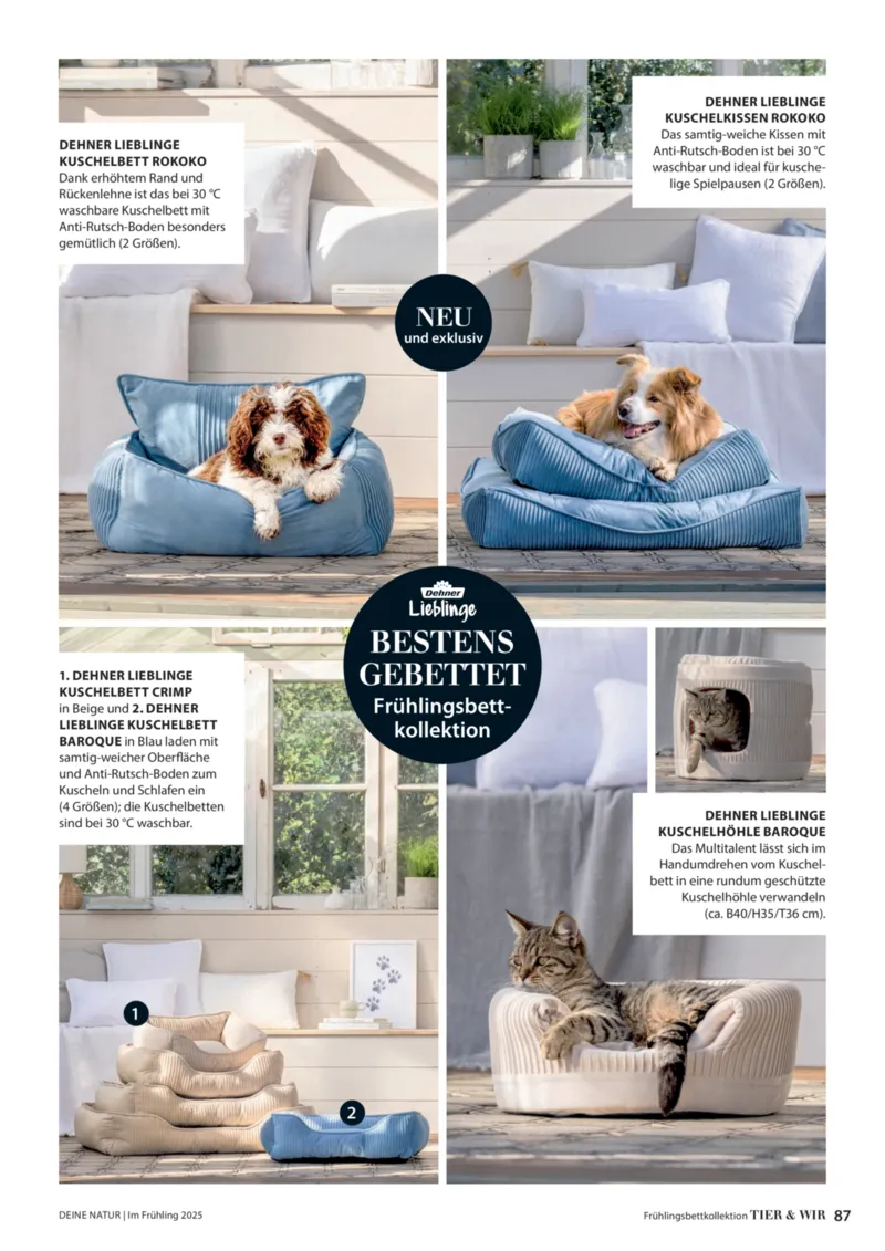 Dehner Prospekt vom 06.01.2026, Seite 87