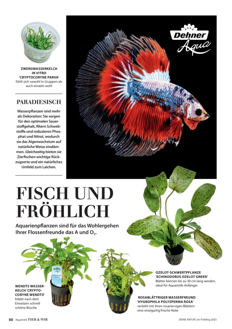 Dehner Prospekt vom 06.01.2026, Seite 88