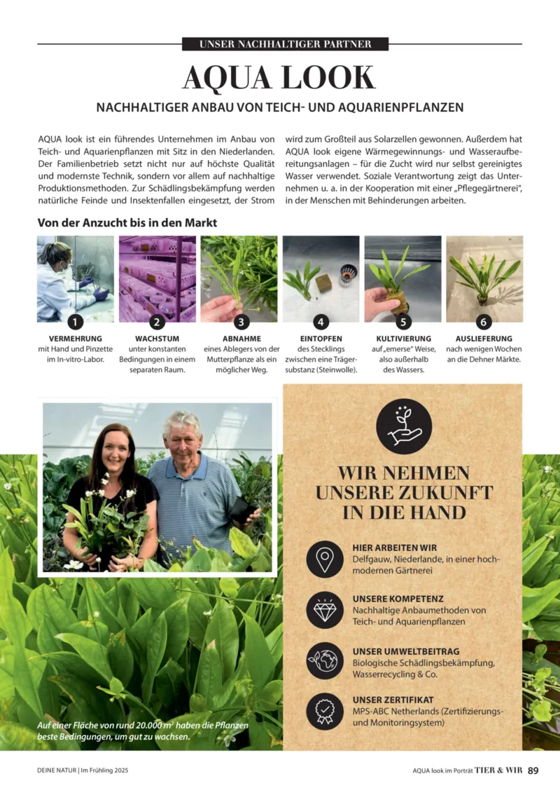 Dehner Prospekt vom 06.01.2026, Seite 89