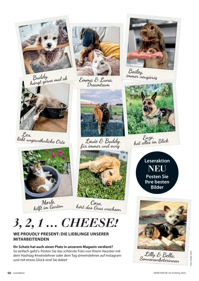 Dehner Prospekt vom 06.01.2026, Seite 96