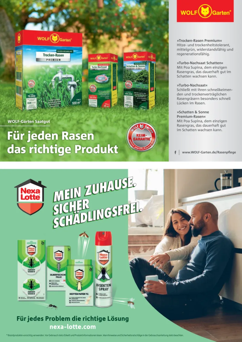 Dehner Prospekt vom 06.01.2026, Seite 97