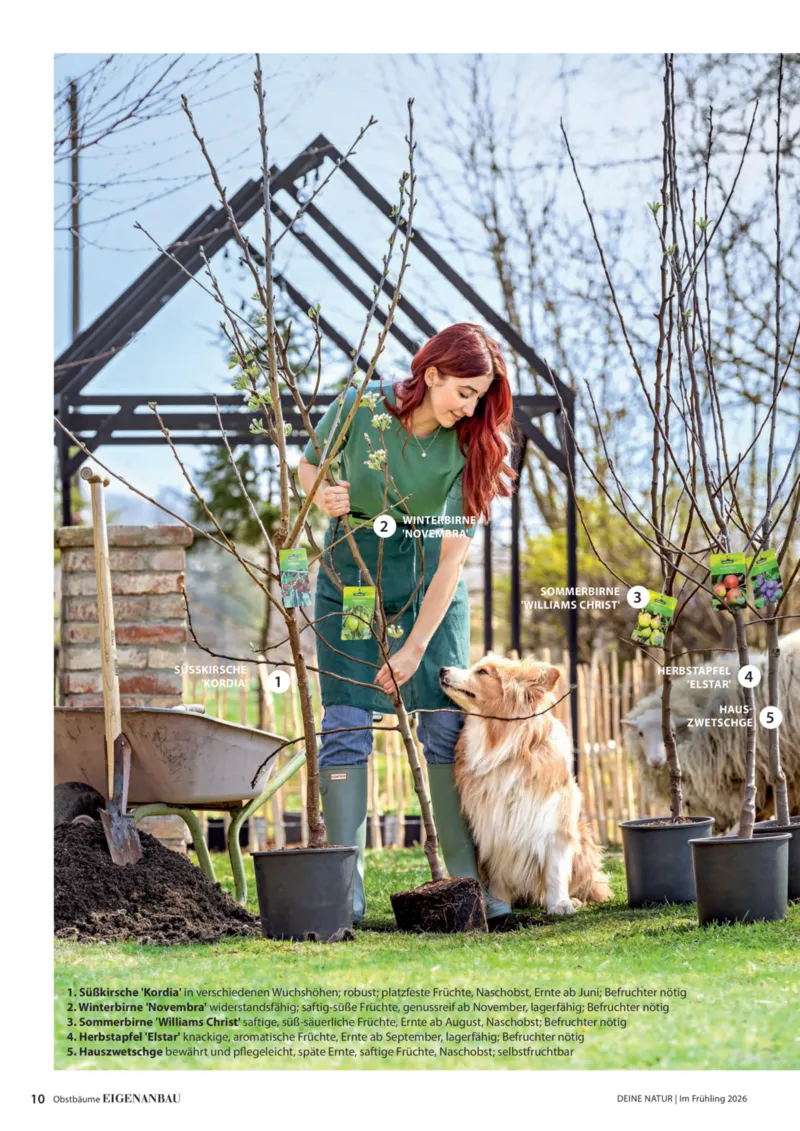 Dehner Prospekt vom 01.04.2026, Seite 10