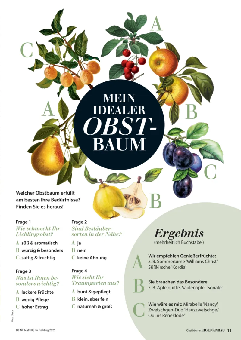 Dehner Prospekt vom 01.04.2026, Seite 11