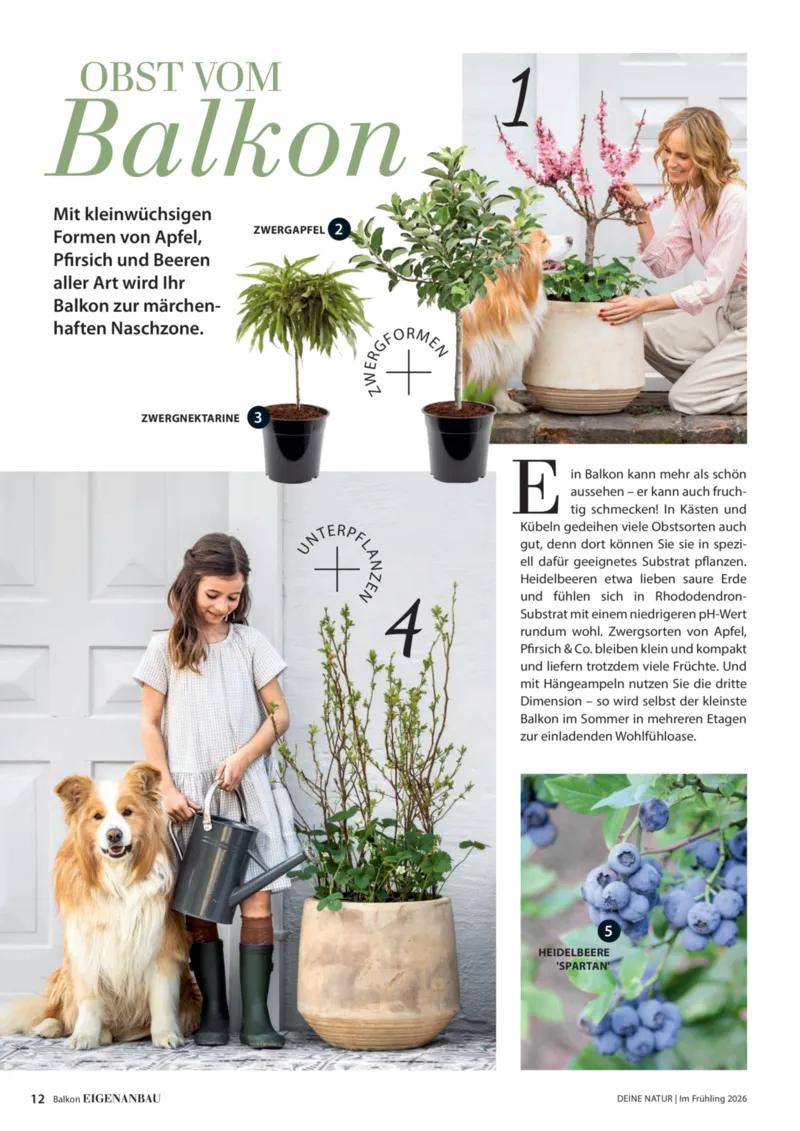 Dehner Prospekt vom 01.04.2026, Seite 12