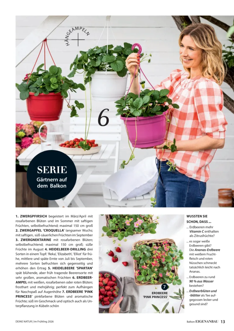 Dehner Prospekt vom 01.04.2026, Seite 13