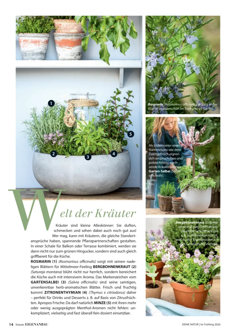 Dehner Prospekt vom 01.04.2026, Seite 14