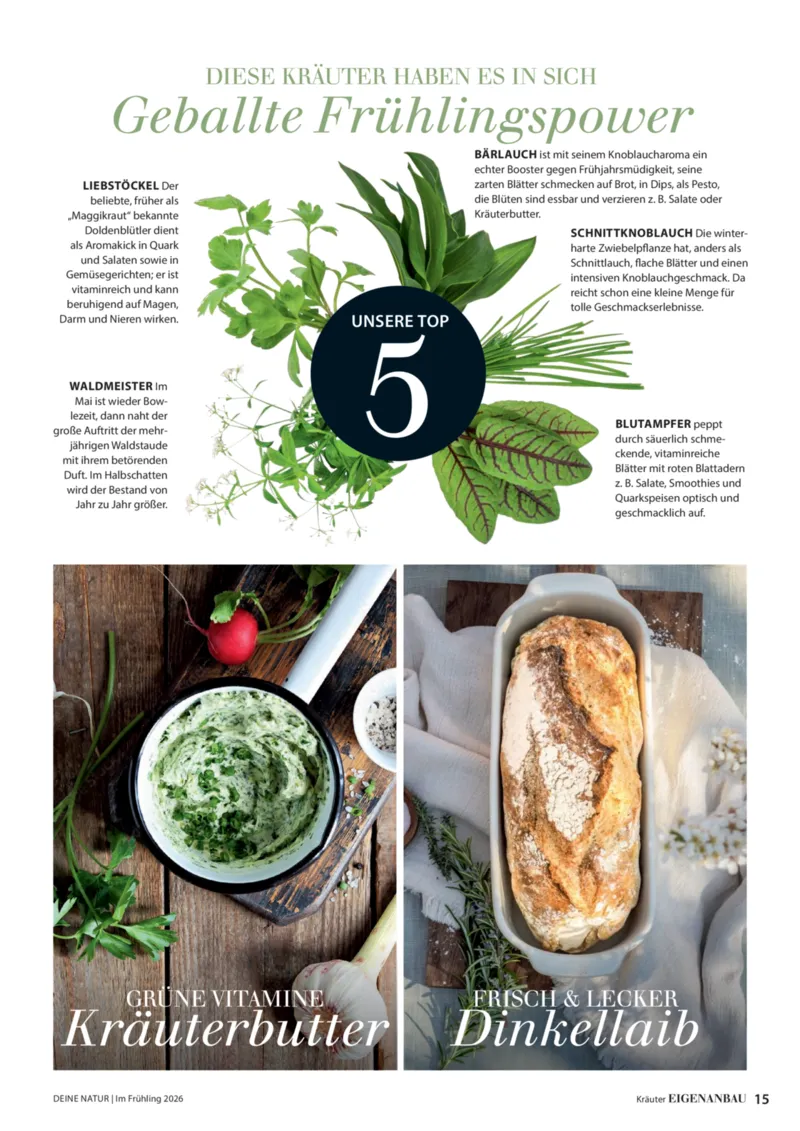 Dehner Prospekt vom 01.04.2026, Seite 15