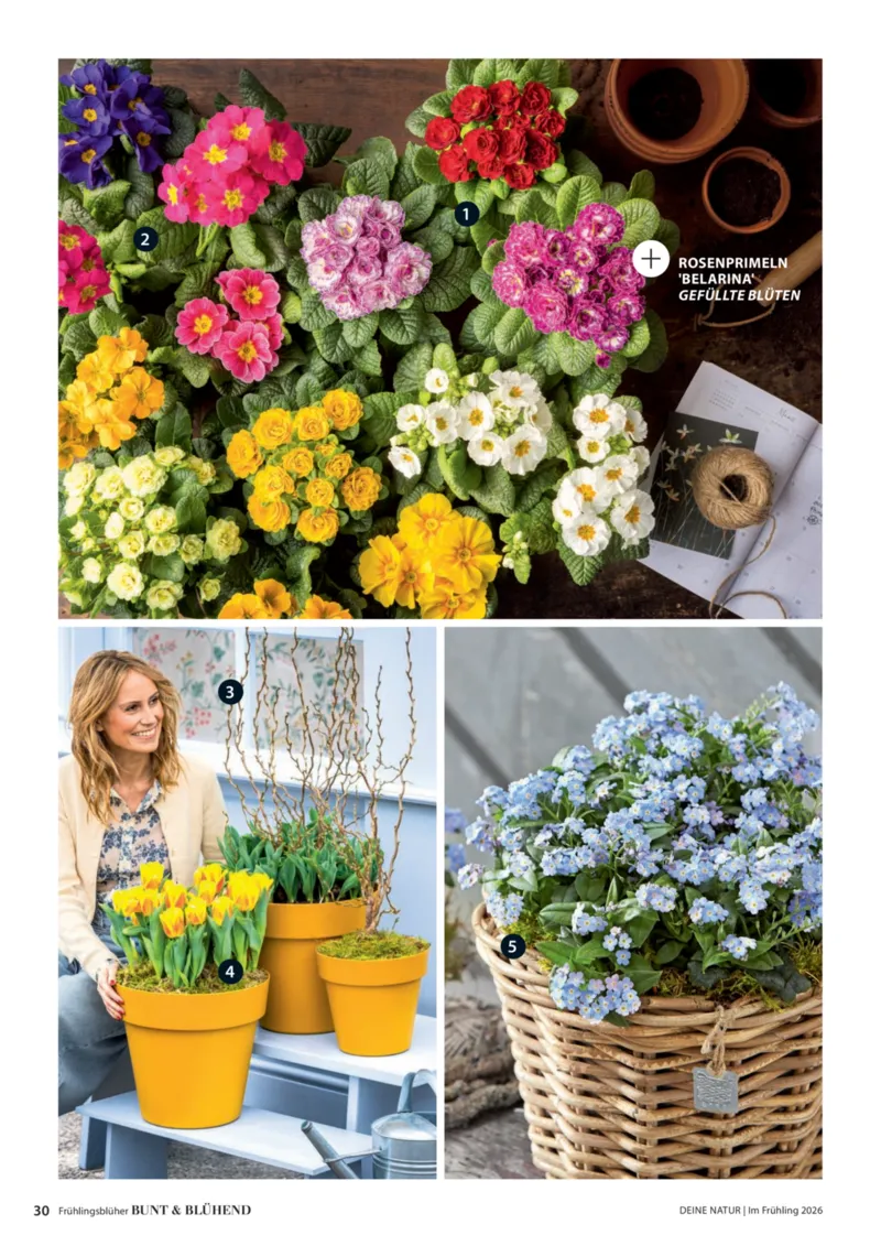 Dehner Prospekt vom 01.04.2026, Seite 30